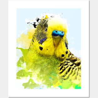 Aquarell Watercolor Splatter Budgie Parakeet Parrot Posters and Art